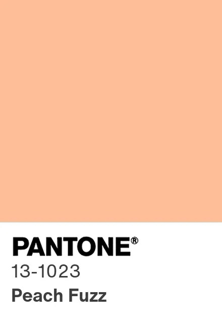 pantone-color-chip-13-1023