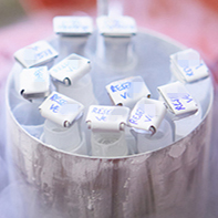 耐低溫-196℃醫療專用貼紙